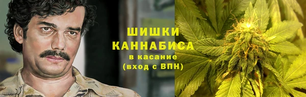 ПСИЛОЦИБИНОВЫЕ ГРИБЫ Алзамай