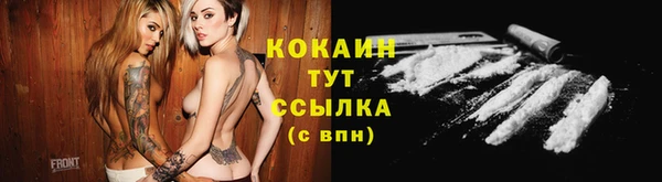 ПСИЛОЦИБИНОВЫЕ ГРИБЫ Алзамай