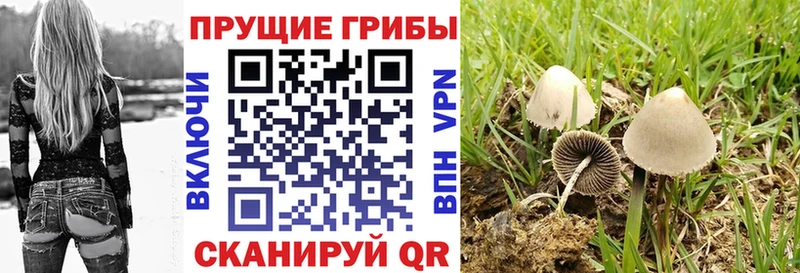 Псилоцибиновые грибы прущие грибы  ссылка на мегу как зайти  Саров 