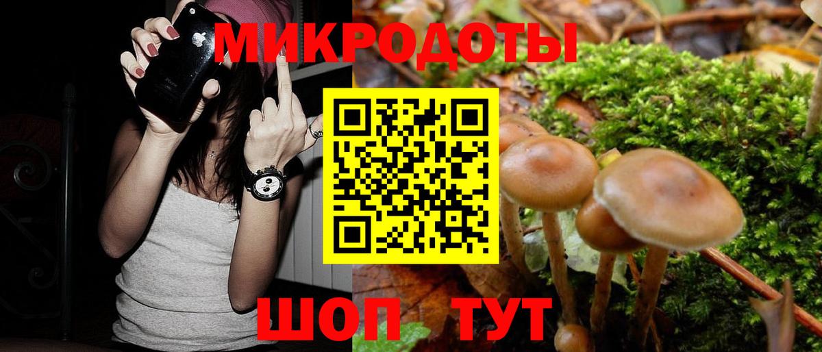 Псилоцибиновые грибы Cubensis  Вход с VPN  Саров 